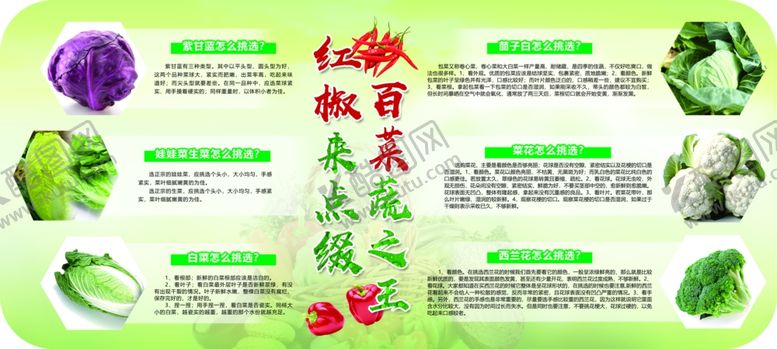 编号：32038902071142107059【酷图网】源文件下载-蔬菜展板