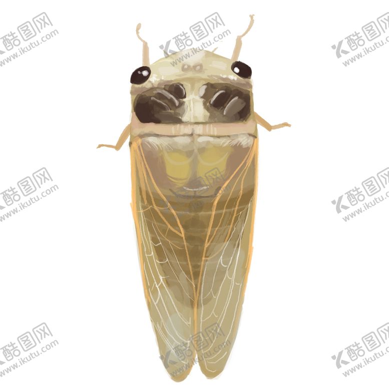 编号：54798406290456475092【酷图网】源文件下载-蝉夏季插画卡通水彩海报合成素材