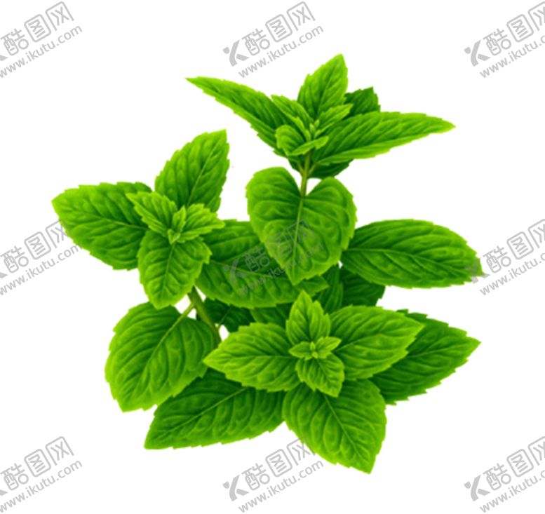 编号：25546906180337124789【酷图网】源文件下载-草本植物药材
