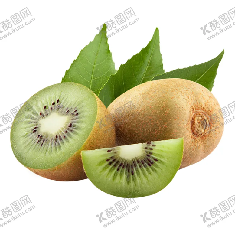编号：35519302010534204724【酷图网】源文件下载-猕猴桃 奇异果png