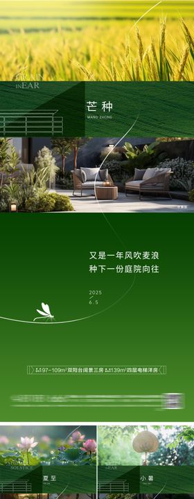 房地产芒种海报