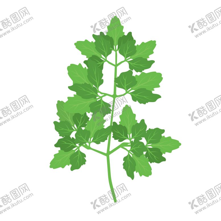编号：56420909172246225983【酷图网】源文件下载-卡通香菜