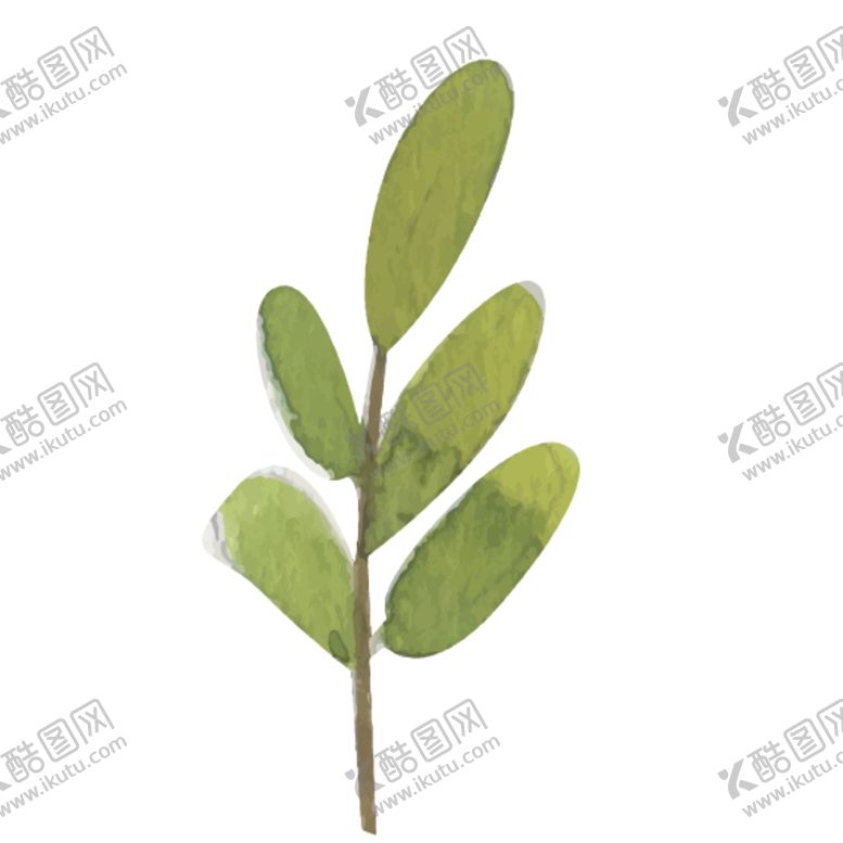 编号：15932210261035199609【酷图网】源文件下载-绿色水彩植物树叶