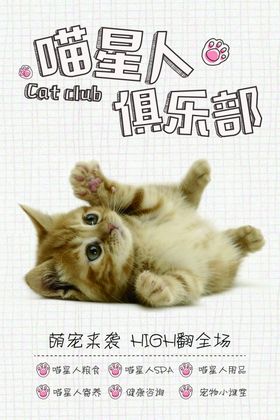 猫星人俱乐部活动宣传海报素材