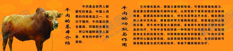 编号：82423712080008224304【酷图网】源文件下载-牛肉简介