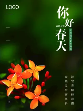 春天约惠传单促销展架