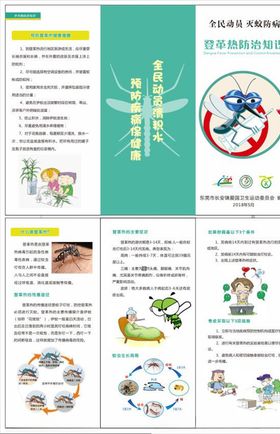 防登革热折页
