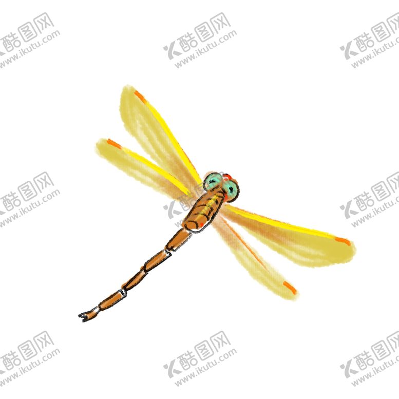 编号：71570305161300086756【酷图网】源文件下载-美丽的蜻蜓插画