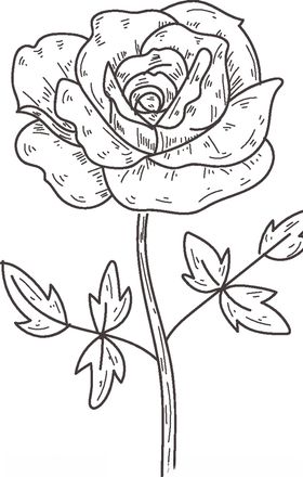 玫瑰服装印花花花朵花素材