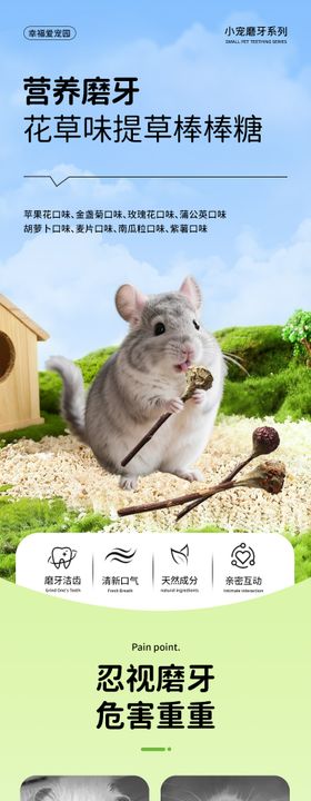 宠物萌宠磨牙棒