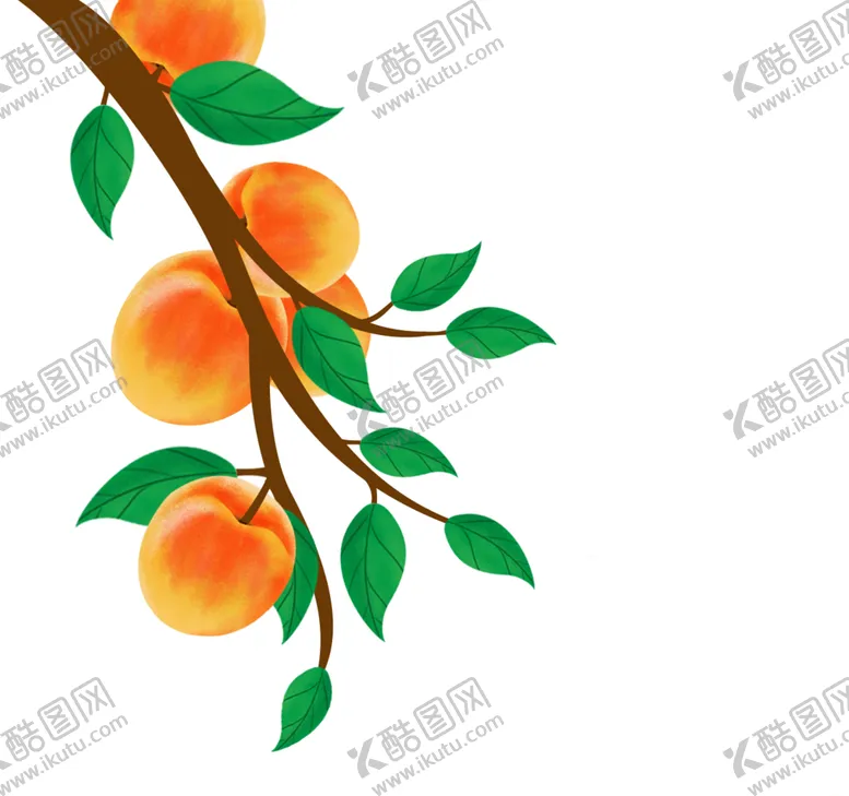 编号：62945906281547037828【酷图网】源文件下载-黄桃