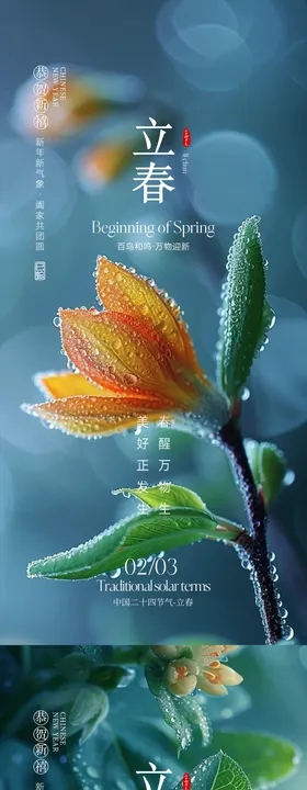 立春节气海报二十四小清新植物系列
