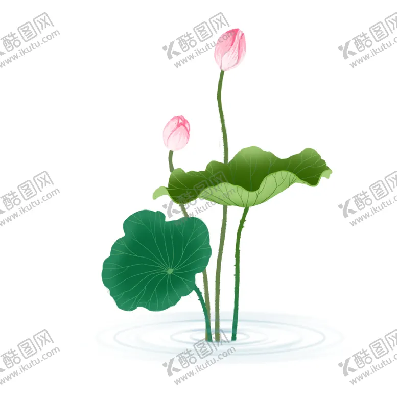 编号：70249303311319233347【酷图网】源文件下载-荷花元素