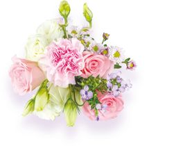 鲜花免抠元素