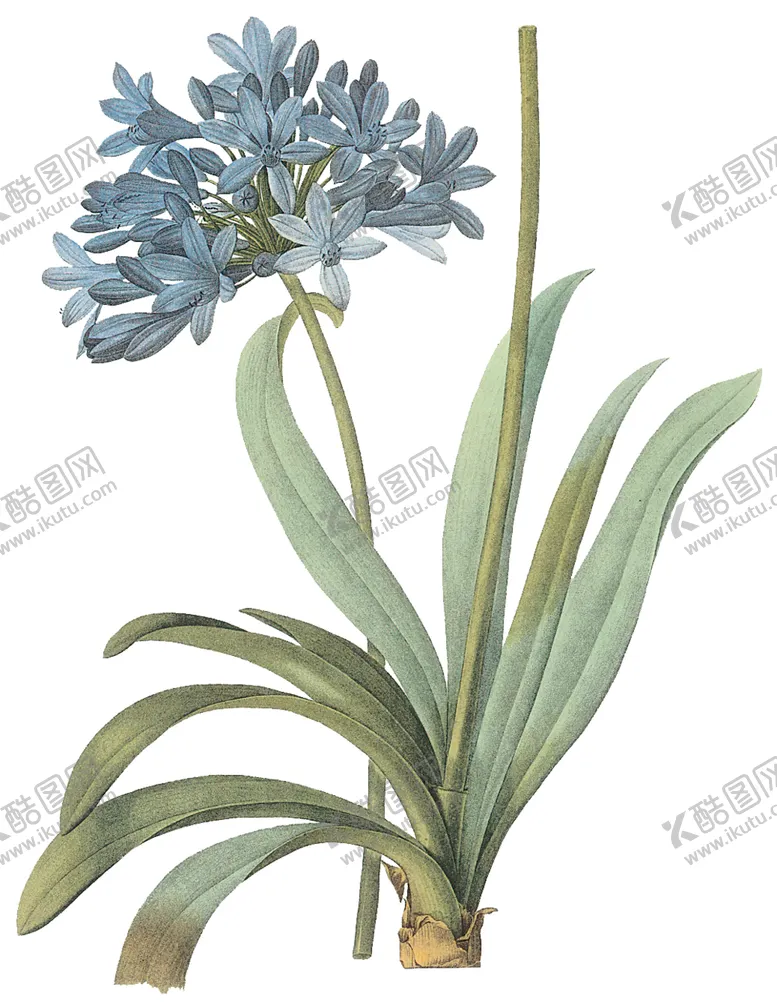 编号：61697007021339118178【酷图网】源文件下载-植物花卉油画装饰画