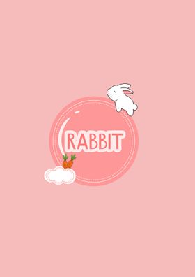 RABBIT 兔子 