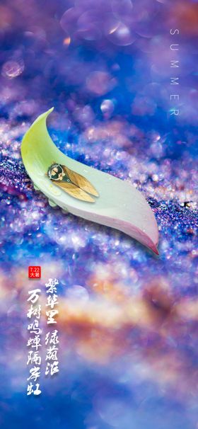 炫彩夏天