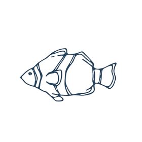 手绘海洋生物