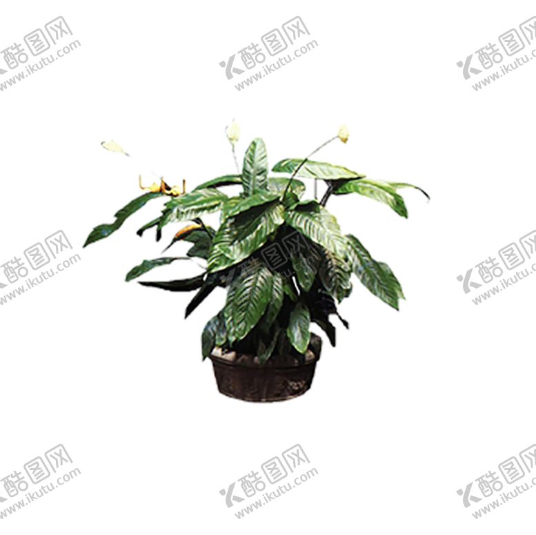 编号：25443011011754273511【酷图网】源文件下载-植物