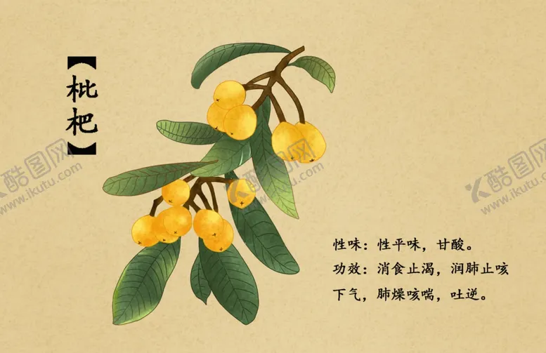 编号：41370402260321208596【酷图网】源文件下载-药材图谱