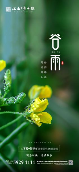 谷雨微信