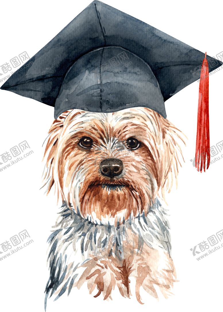 编号：38478610071409566044【酷图网】源文件下载-水彩绘画可爱小狗