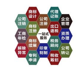 公司业务范围