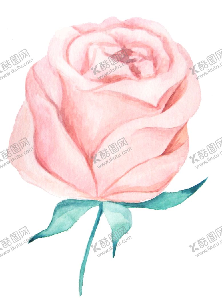 编号：37382106180202522716【酷图网】源文件下载-彩绘植物