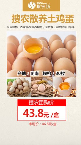 土鸡蛋海报