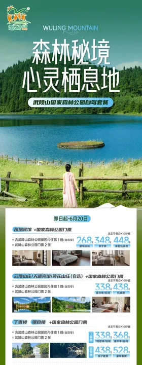 武陵山采笋节海报