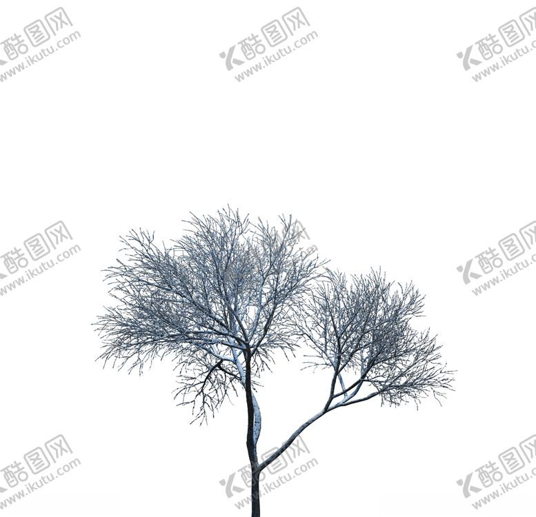 编号：77163709300652348235【酷图网】源文件下载-树木