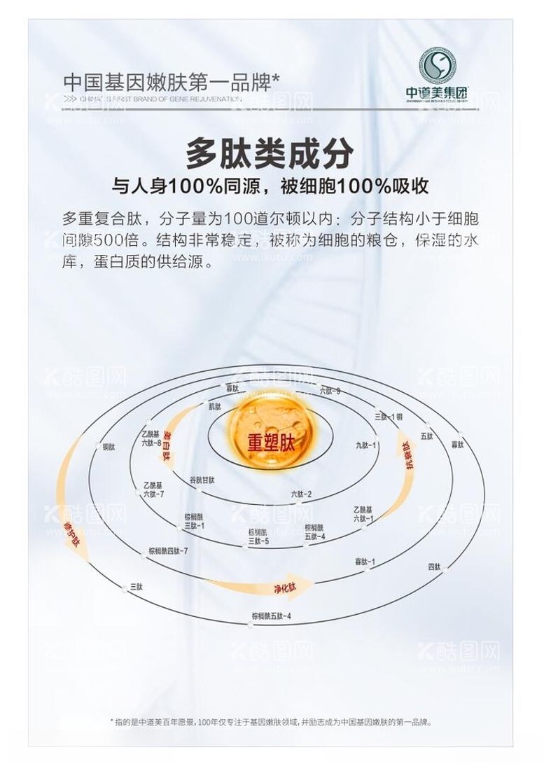 编号：26254612121222586716【酷图网】源文件下载-基因肽美肤