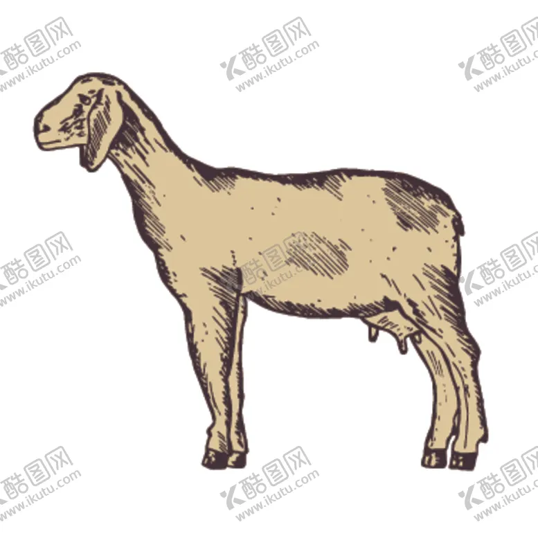 编号：33783507040307294015【酷图网】源文件下载-家养动物主题插画
