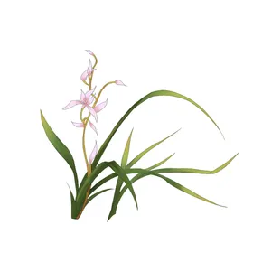 水墨兰花PNG草梅竹菊蝴蝶飞舞