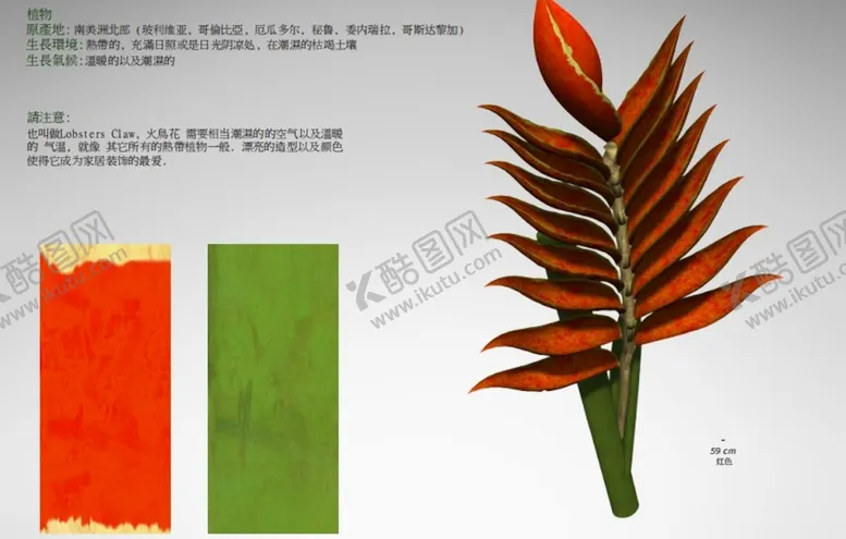 编号：49953901230501358394【酷图网】源文件下载- C4D模型  花朵  