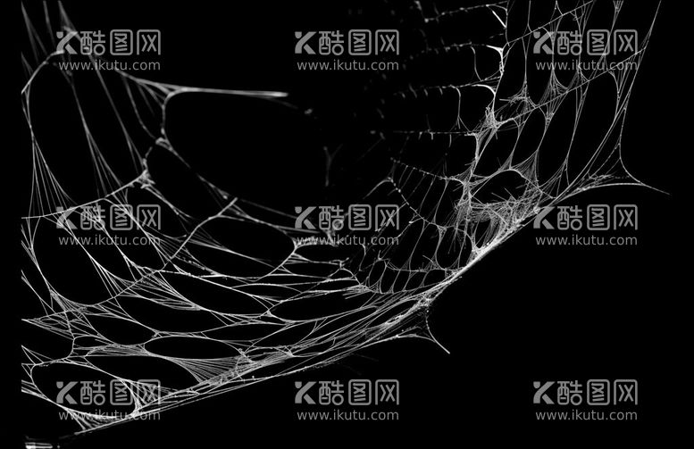 编号：57555211250625027230【酷图网】源文件下载-蜘蛛网