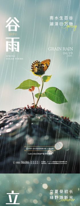 地产谷雨立夏小麦插画海报