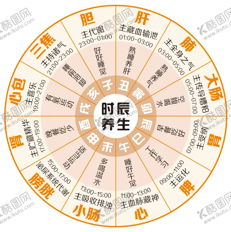 时辰养生法12中医子丑寅卯巳中医