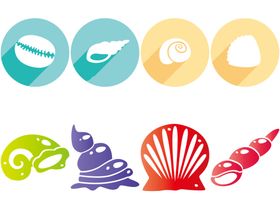 贝壳海洋生物类小