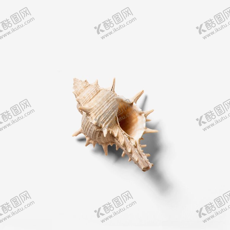 编号：37561902212004336616【酷图网】源文件下载-贝壳