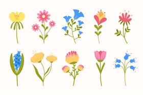 各种花朵手绘多彩鲜插图卉插图