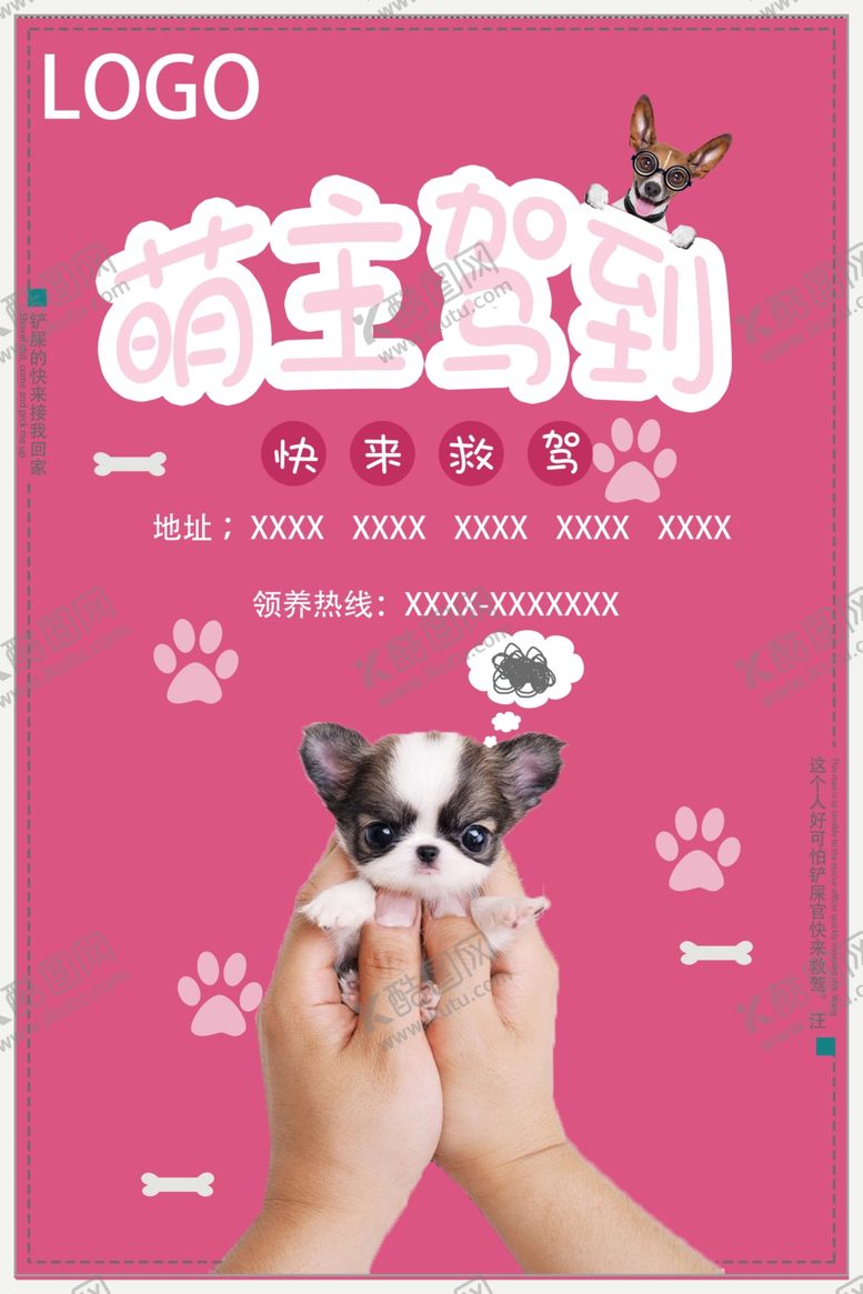 编号：38127607141511224714【酷图网】源文件下载-宠物海报