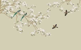 花鸟画手绘画鸟背景墙