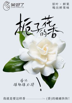 茶好了栀子花海报