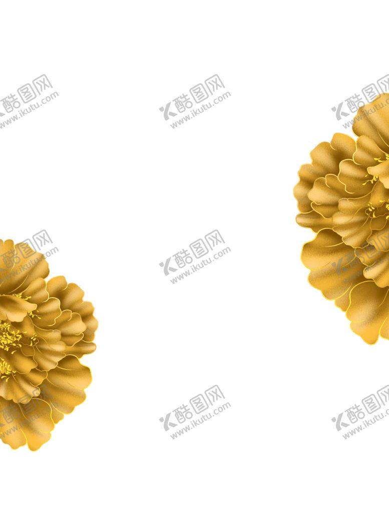编号：72091305102009562625【酷图网】源文件下载-金色牡丹