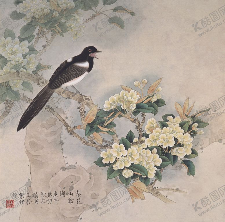 编号：65426309281651071050【酷图网】源文件下载-花鸟图