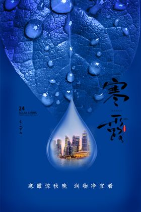 白露寒露24节气海报