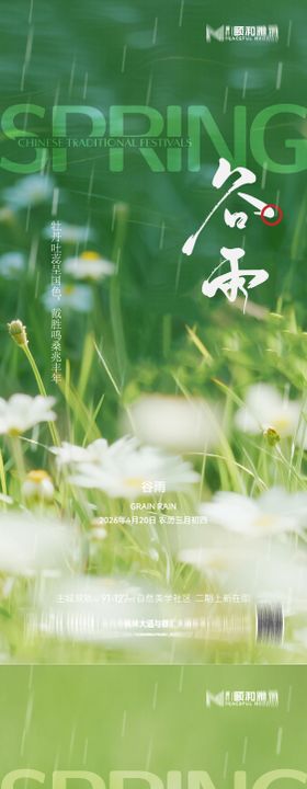 谷雨节日节气海报