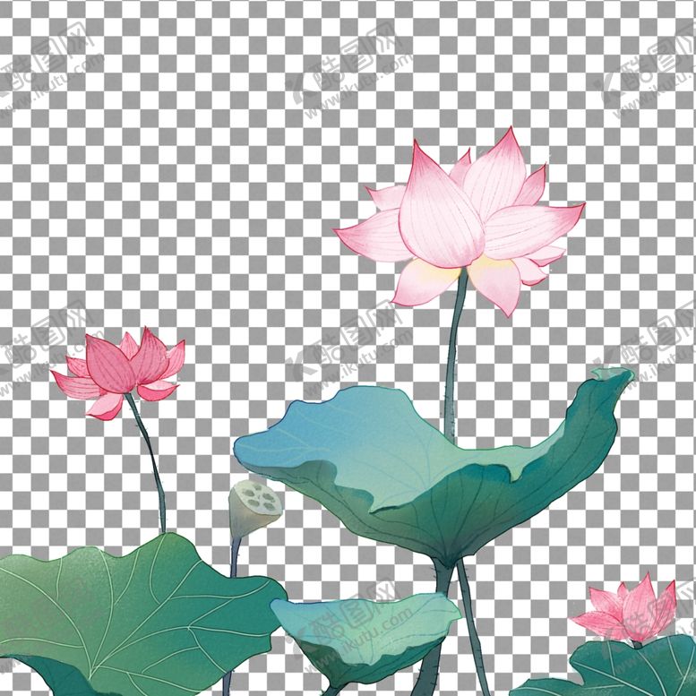 编号：33574903262143306290【酷图网】源文件下载-荷花