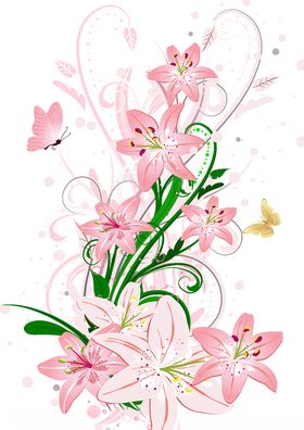 水仙花牵牛花山茶花